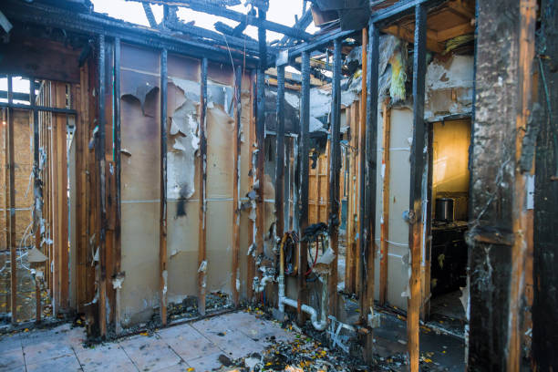Professional Smoke Damage Removal technician working in Effort, PA